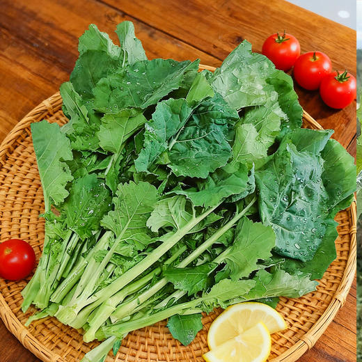 沈佳农有机板蓝根青菜  有机农场新鲜蔬菜【顺丰快递】 商品图2