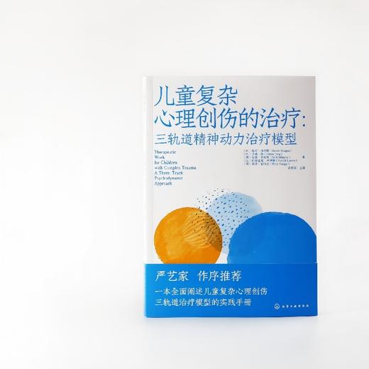 儿童复杂心理创伤的治疗 : 三轨道精神动力治疗模型 商品图1