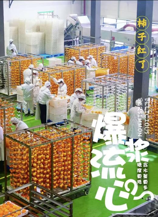 【会员21/盒】柿子红了柿界杯富平冰柿柿饼 商品图11