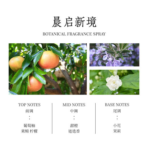 正安优选·禧闻悦见日用香氛喷雾“熹 AM”  50ml/瓶 商品图3