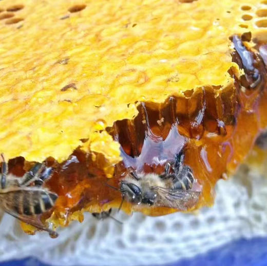 云南纯手工九蒸九晒黑精丸 何为黑精丸 |简单说，就是将九蒸九晒黑芝麻、茯苓薏仁米、赤小豆、蜂蜜5味食材，按中式原理和经验配制，再一个个人工捏成丸子。300g/罐 商品图9