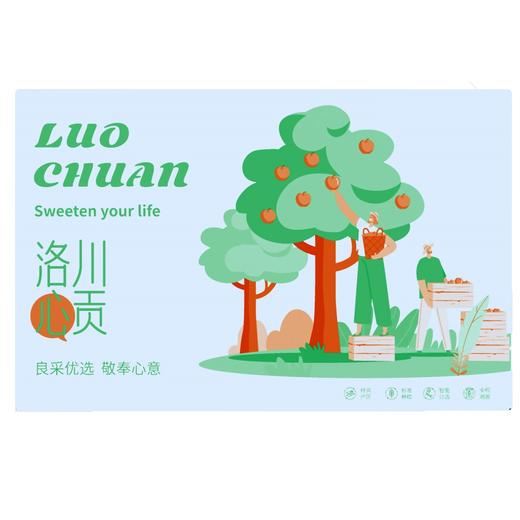 陕西洛川早熟红富士苹果16枚礼盒装(3.4kg以上) 商品图3