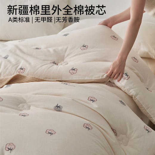 【A类新疆棉花被】全棉棉花被芯里外全棉被子新疆棉花被冬被四季被A类 商品图0