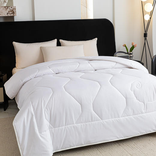 红蜻蜓舒眠臻品羊毛冬被 商品图2