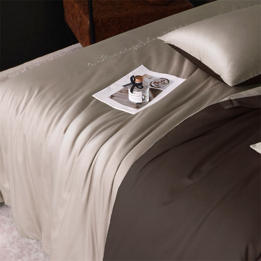 【维科家纺】  时尚休闲-舒醒（咖金+棕咖） 商品图2