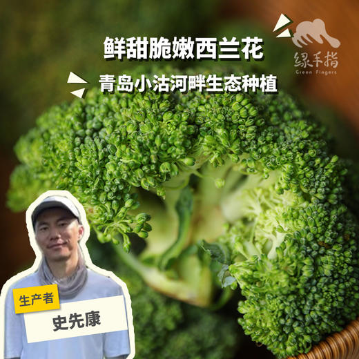 生态西兰花（下单4天左右发出） | 合作生产 * Ecological Broccoli |  Partner Production 商品图0