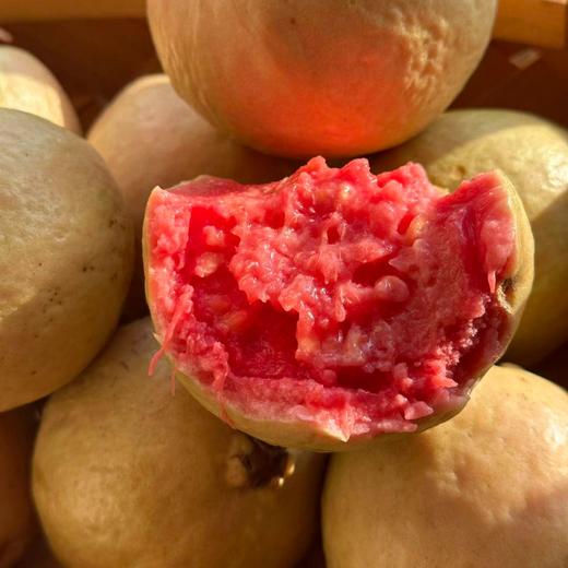 【软糯绵密】奶油芭乐·超甜17°高品质 商品图7