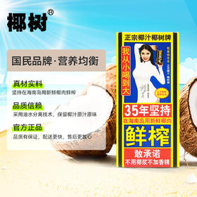 椰树牌 正宗椰子汁  1L*12盒 整箱装 植物蛋白饮料