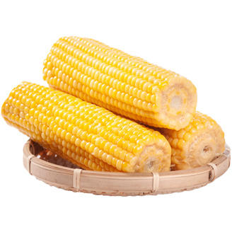 北优天赐 黑龙江甜糯黄玉米软糯香甜3/5/8根装 商品图4