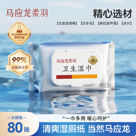 【马应龙-护理】马应龙卫生湿巾湿厕纸学生擦屁屁手纸男女洁厕湿纸巾妇科可用80片（升级款）