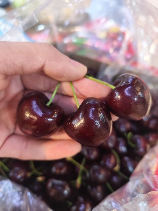 【团购特惠】桑提娜santina车厘子 ！果面干净！ 硬度好，新货浓甜微酸！收货后请放冷藏小段时间再食用，吃多少拿多少，坏果超过10颗以上包售后，轻微裂口，不予售后；介意慎拍~ 商品图4