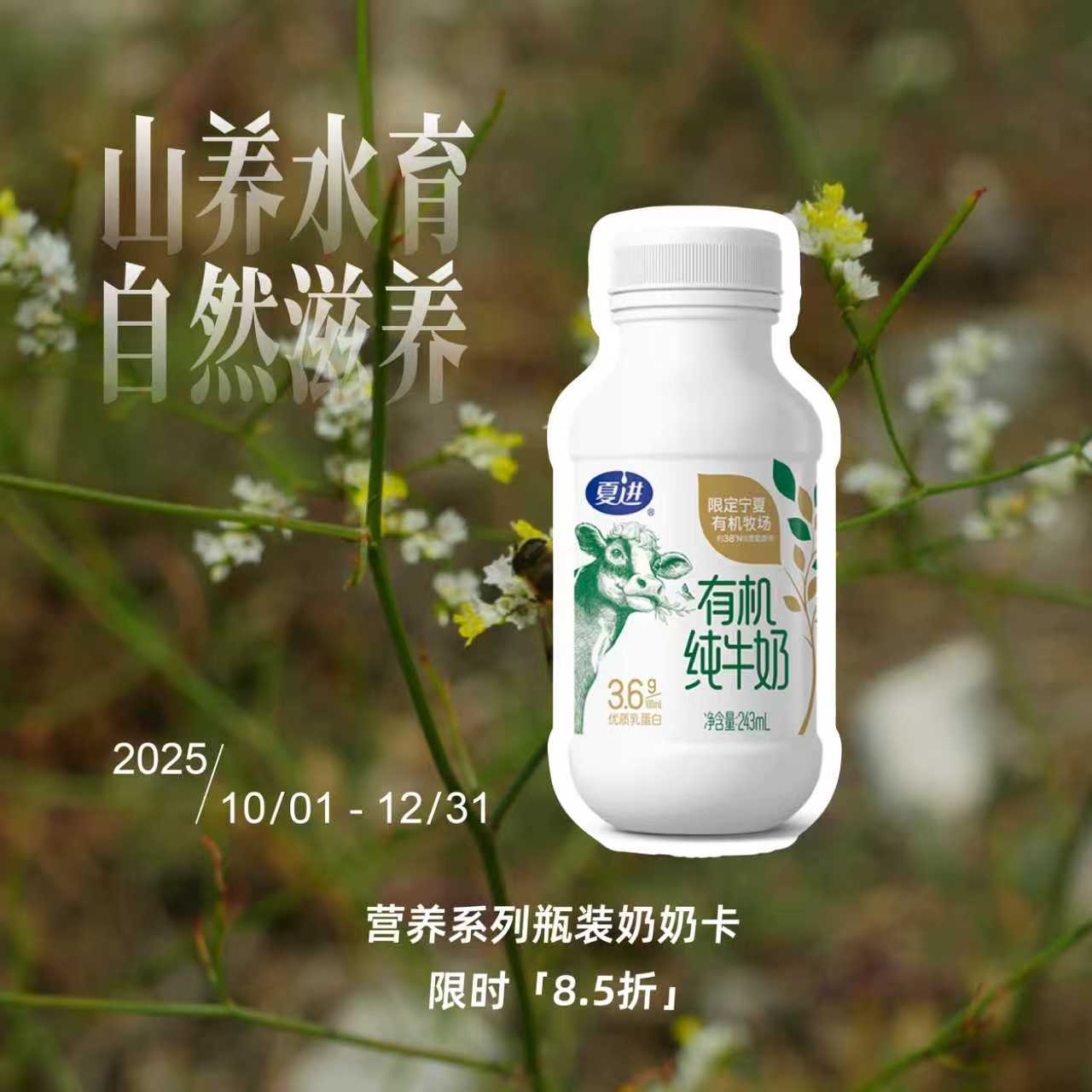 夏进瓶装有机纯牛奶（蛋白 3.6g）243ml×10瓶