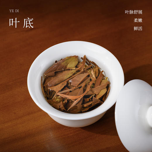懂茶帝有机茶高山云雾茶磻溪大洋山2024年福鼎白茶有机寿眉饼100g 商品图3