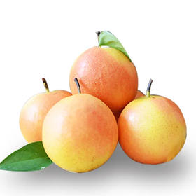 南果梨(1000g±50g)