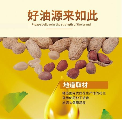 五羊牌 压榨一级花生油5L（8字专属 2025款） 商品图1
