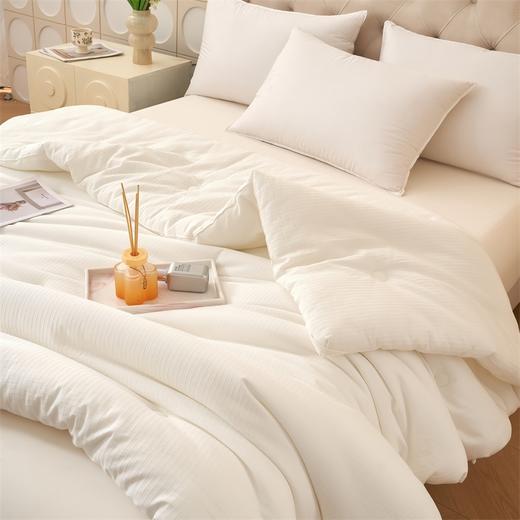 【维科家纺】  全棉水洗提花抑菌纤维冬被 商品图4