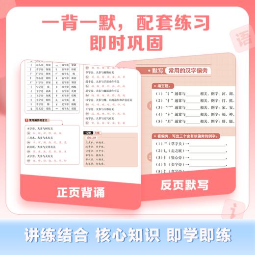 小升初背默本：语文 商品图2