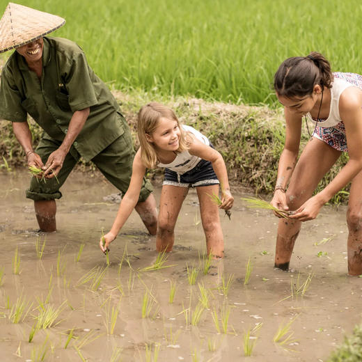 3晚/4晚【巴厘岛乌布山妍四季度假酒店】寒假/春节不加价！享深夜抵达免费礼遇！深度体验山妍四季隐匿式度假，享三道式午餐、消费额/SPA按摩及免费升房等福利~ 商品图12