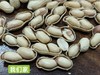 【2025新二批】受欢迎的陈皮小花生，今年新货【陈皮花生】陈皮花生是与新会本地陈皮一起煮过再烘干工艺 商品缩略图5