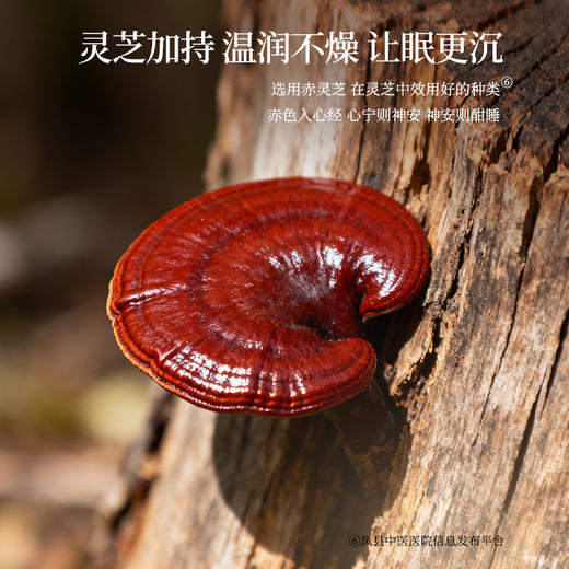 正安 灵芝酸枣仁晚安膏 13味配伍温润不燥 伴你一夜好眠 心烦失眠多梦易醒更年期 酸枣仁膏100g（10g×10袋）/盒 商品图5