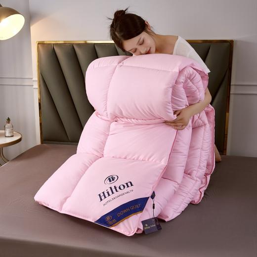 酒店同款棉被冬被羽丝绒春秋被仿鹅绒被芯被子 商品图3