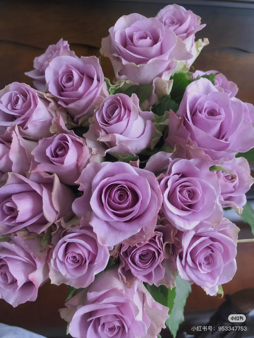 云花香紫霞短杆 商品图0