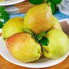 【皮薄肉厚❗️脆甜无渣】新疆库尔勒香梨新鲜水果梨子3/5/10斤薄酥梨应季红香酥整箱。ja 商品缩略图0