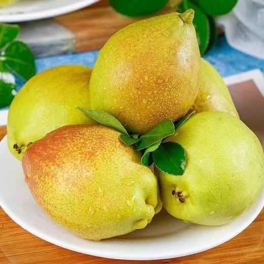 【皮薄肉厚❗️脆甜无渣】新疆库尔勒香梨新鲜水果梨子3/5/10斤薄酥梨应季红香酥整箱。ja 商品图0