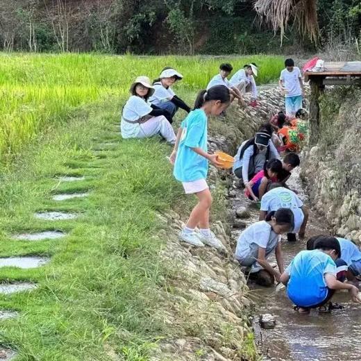 【亲子】增城挖水晶地质科考1日营 商品图2