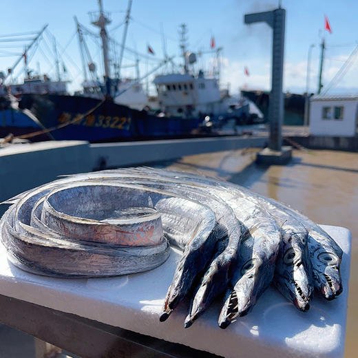 顺丰冷链，正宗舟山雷达网带鱼 细腻油润！深海捕捞！营养高！舟选海鲜 码头直达 纯野生 肉质细腻 商品图8