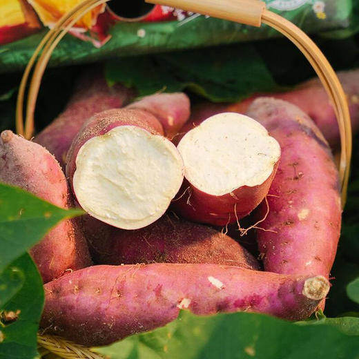 鲜甜红薯香【脆状元】鲜切地瓜片（甘梅味） 比锅巴脆 比薯片香 五斤红薯出一斤红薯片 商品图6