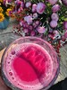 源频·甜菜根 750g 商品缩略图1