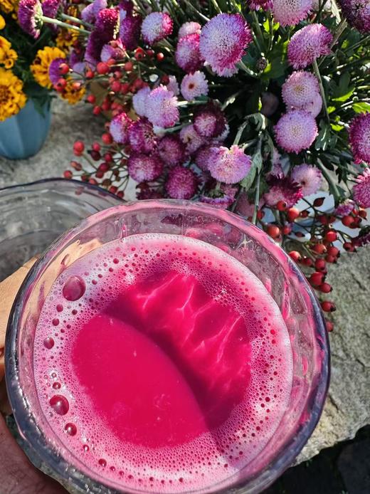 源频·甜菜根 750g 商品图1