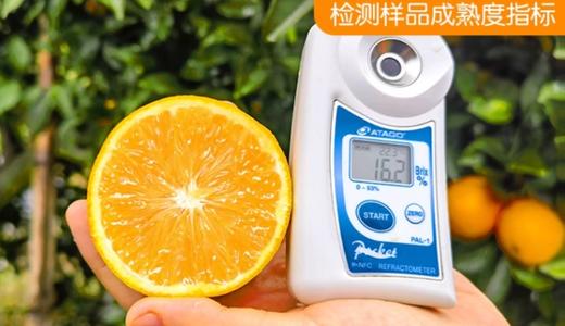 赣南脐橙 中国脐橙之乡 核心产区 自然成熟 鲜采直发 果肉脆嫩化渣 汁多味甜  商品图4