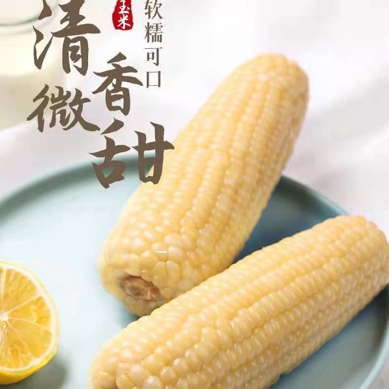 黑龙江 寿深 白糯甜玉米/黑糯甜玉米 10穗/箱（到货需冰箱保存）
