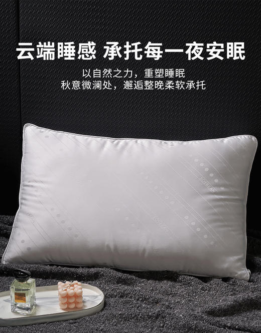 【维科家纺】  秋末微澜大豆纤维枕/只 商品图5