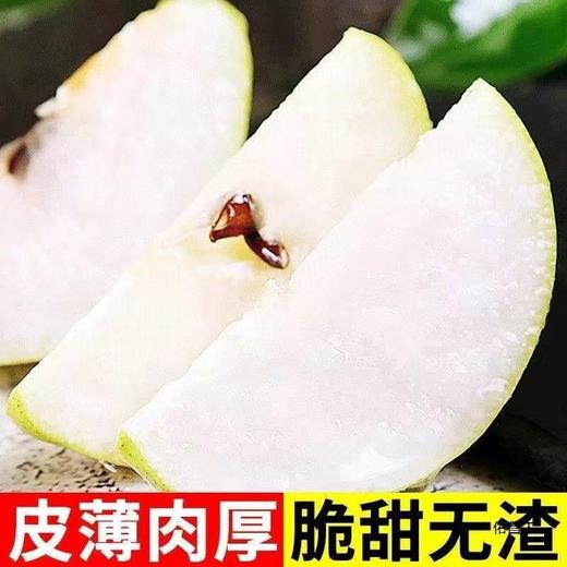 【皮薄肉厚❗️脆甜无渣】新疆库尔勒香梨新鲜水果梨子3/5/10斤薄酥梨应季红香酥整箱。ja 商品图1