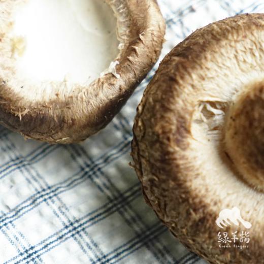 有机段木香菇（预售 ） | 合作生产*Organic Fresh Shiitake (Log-Cultivated) | Partner Production 商品图4