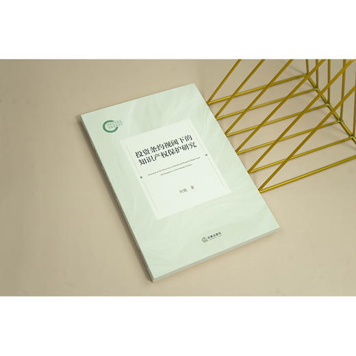 投资条约视阈下的知识产权保护研究 何艳著 法律出版社 商品图2