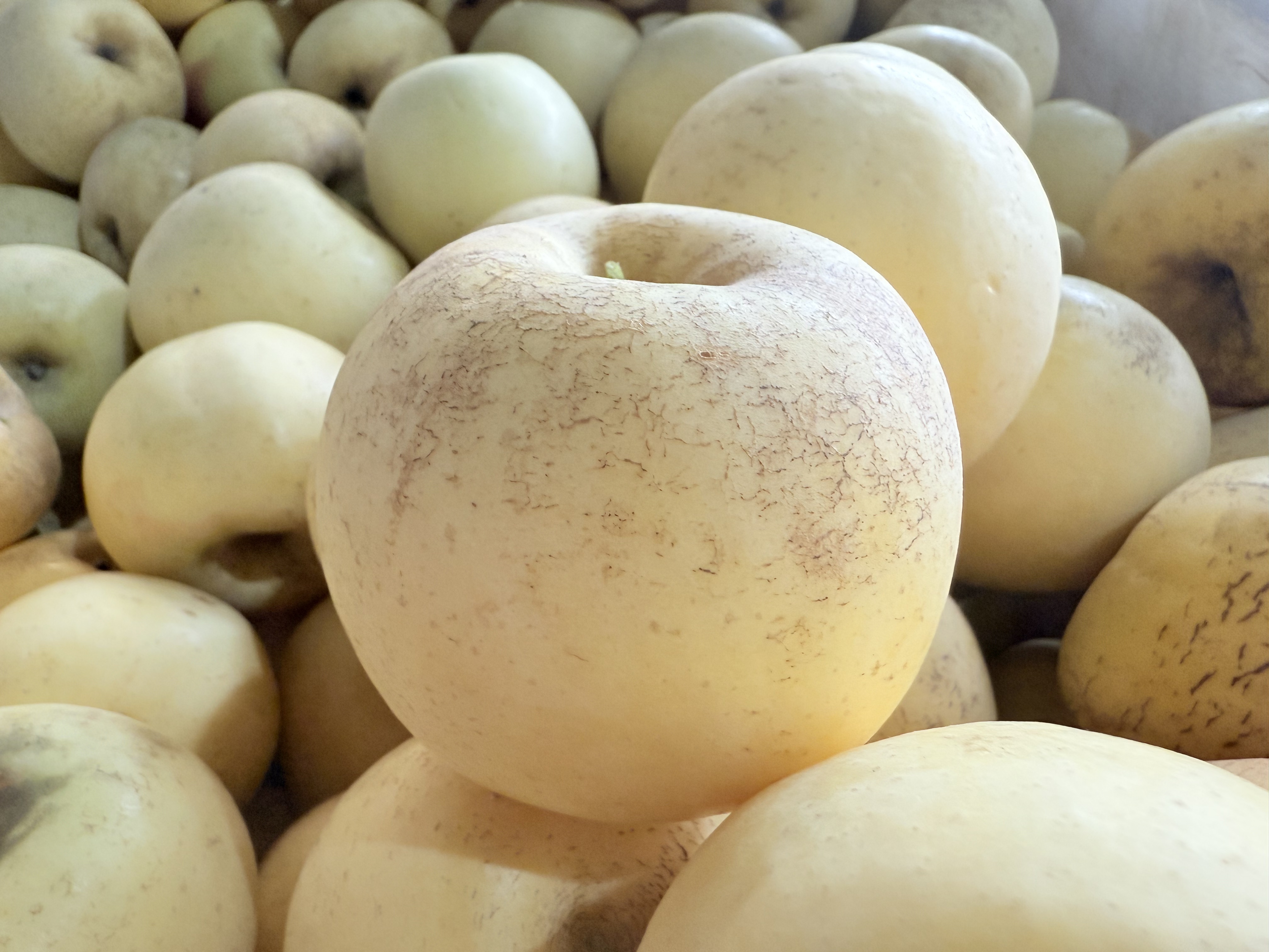 农友直发｜立君苹果(黄金富士)，排队发货中，顺丰快递！