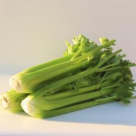 【买8斤送1斤】生态西芹 | 5斤/8斤 芹香浓郁 脆嫩多汁 膳食纤维补充 鲜食榨汁西芹 无农药生态种植芹菜「购任意规格3份送西芹粉1盒，与单品赠品不叠加」