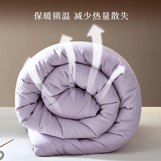 【维科家纺】  远红外抑菌纤维冬被-红 商品图2