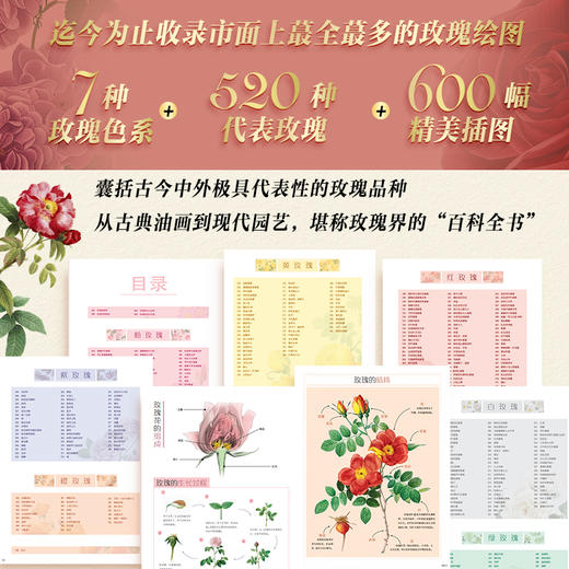 玫瑰全书 商品图3