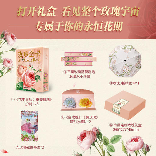玫瑰全书 商品图4