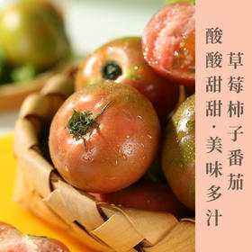 草莓柿子酸甜可口自然成熟饱满多汁 现摘现发可生吃小时候的味道