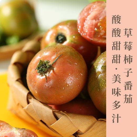 草莓柿子酸甜可口自然成熟饱满多汁 现摘现发可生吃小时候的味道 商品图0