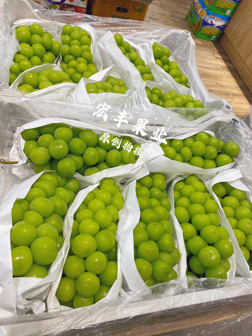 宏丰精选，特级阳光玫瑰 口感甜，硬度很好，活动价‼️12.8一斤 商品图2