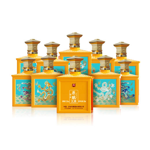 【整箱购】泸州原酿天典 九龙壁 52度 浓香型泸州老窖股份有限公司出品纯粮酒 500mL*9瓶 整箱装 商品图3