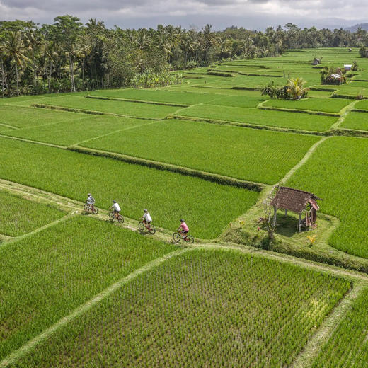 3晚/4晚【巴厘岛乌布山妍四季度假酒店】寒假/春节不加价！享深夜抵达免费礼遇！深度体验山妍四季隐匿式度假，享三道式午餐、消费额/SPA按摩及免费升房等福利~ 商品图9