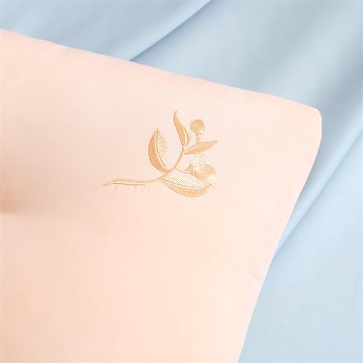 【维科家纺】 舒睡决明子草本护颈枕/只 商品图7